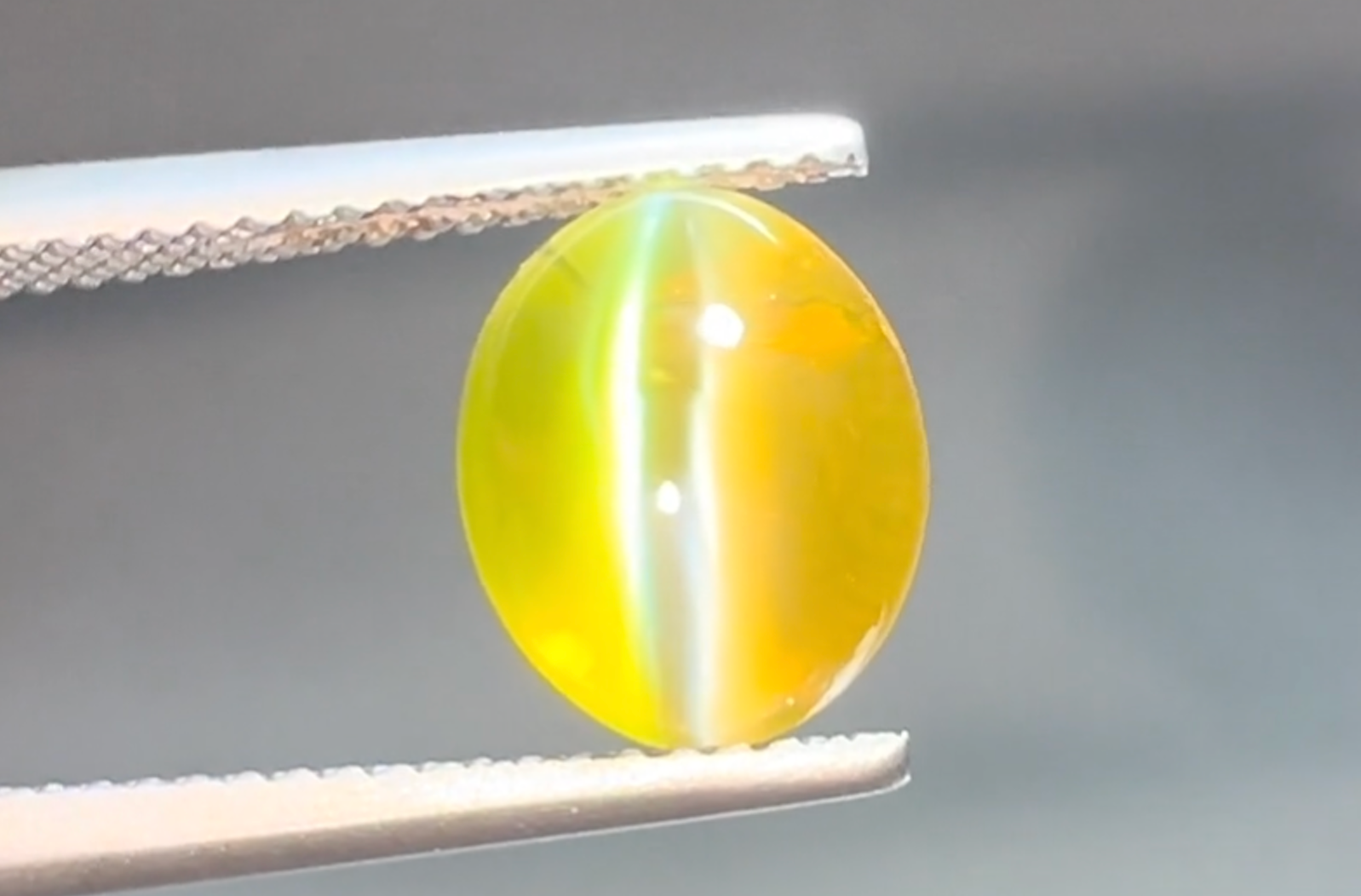 5.02ct Ceylon Milk & Honey Cats Eye Chrysoberyl Ring with D Flawless Diamonds set in 18K Yellow Gold