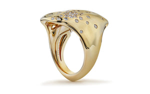D Flawless Diamond Ring set in 18K Yellow Gold