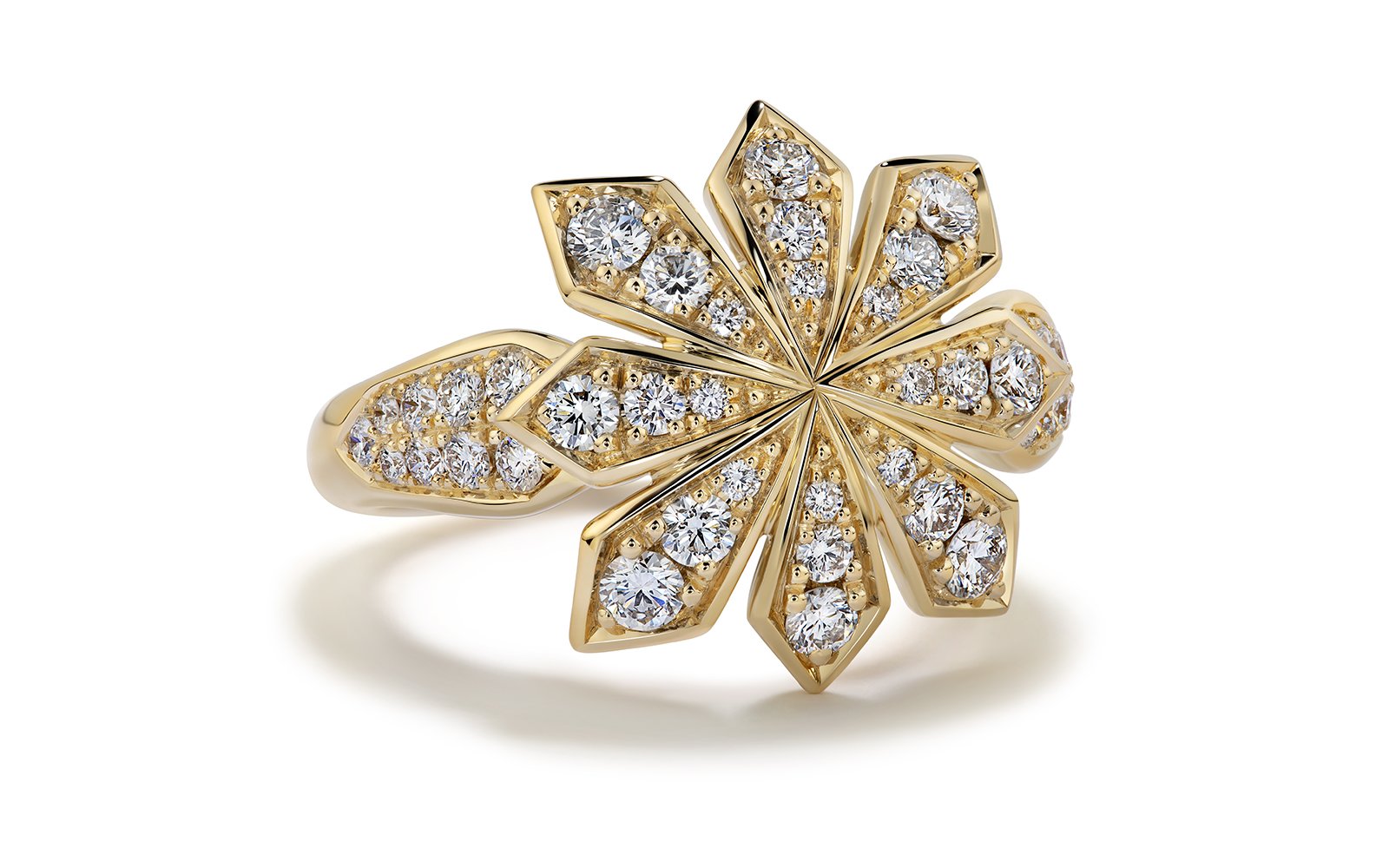 D Flawless Diamond Ring set in 18K Yellow Gold