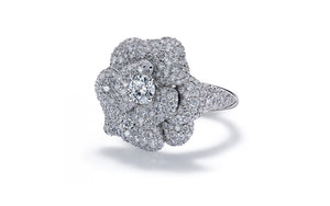 D Flawless Solitaire Diamond Ring set in 18K White Gold
